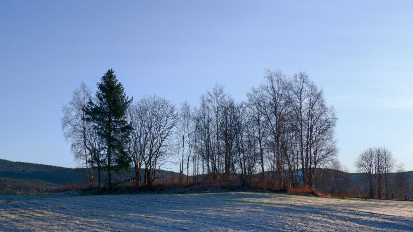 cleaning agency Hurdal